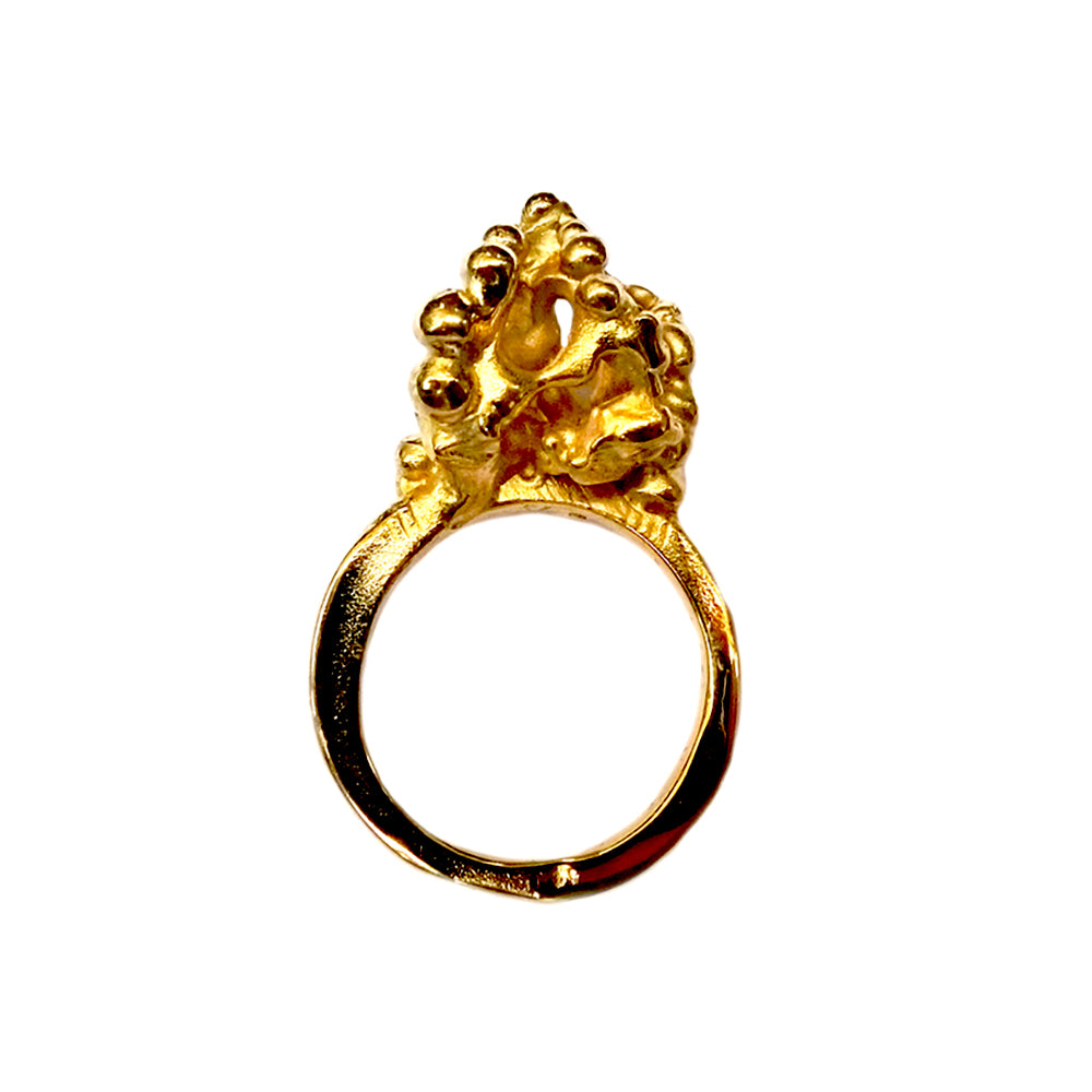 Bubbling Ring