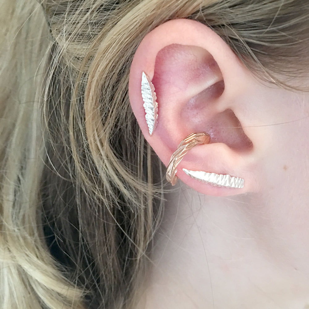 Cycad Dagger Ear Crawler