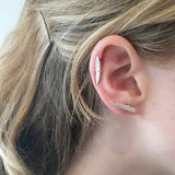 Cycad Dagger Ear Crawler