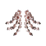 Scorpia Rays Ear Jackets